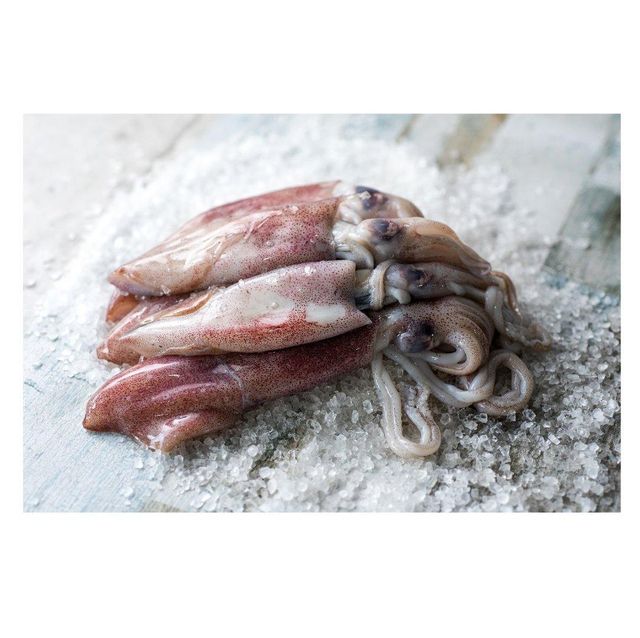 Good Quality Cheap Price Frozen Whole Loligo Squid For Export - Image 5