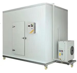 Customized Cold Storage Room for Fruit and Vegetable Storage Container Equipment - Image 3