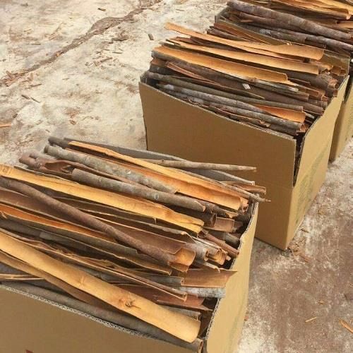 Split Cassia Form Split Freshness Level Dried Delivery Form Bag, Carton - Image 3