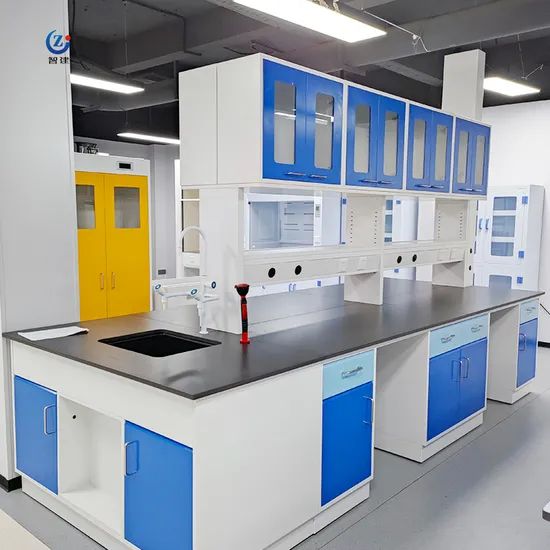 Lab Furniture Rack System Table Laboratory Bench Price Origin China Condition New Trademark TOPFEA Model NO. ZJIB001 HS Code - Image 4