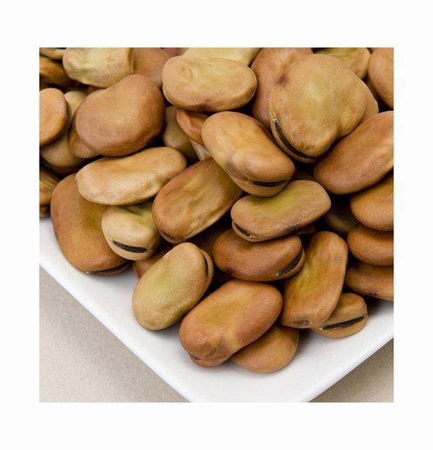 Organic 100% Natural Fresh Dried Broad Beans Mocha Edible Pearls Horse Beans 5kg South Africa 24 Months Shelf Life - Image 3