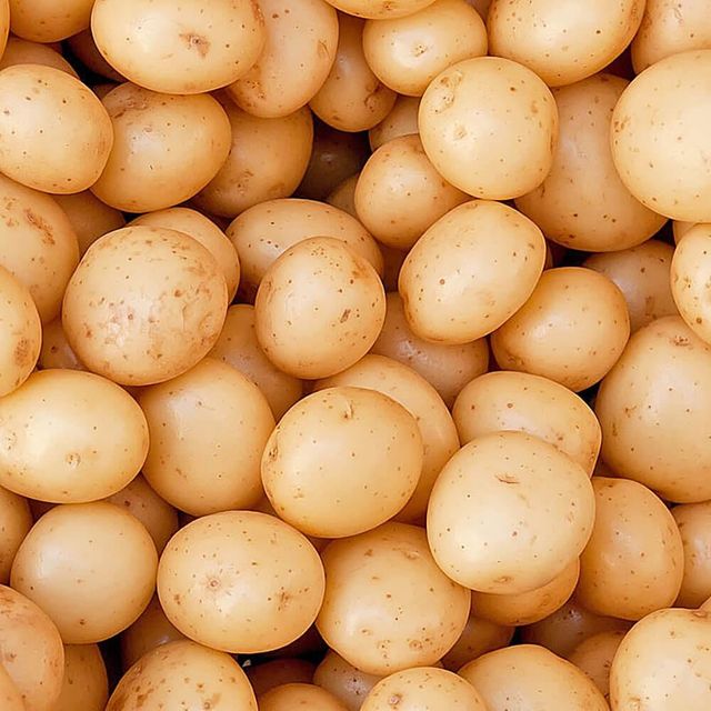 Fresh Potatoes Natural Bulk Harvest Premium Potatoes Carefully Selected For Export Trade - Image 3