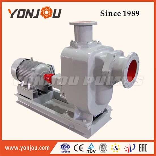 Zx Self Priming Stainless Steel Ballast Pump - Image 1