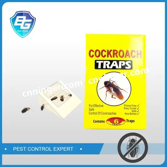 China Cockroach Killer Trap Roach Motel Insect Silverfish Cockroach House Glue Trap - Image 6