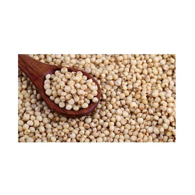 High-quality sorghum grains ideal for human consumption and livestock feed - Image 1