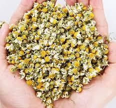 MEDICINAL HERBS Shape Powder Form Shelf Life 24 MONTHS Place of Origin INDIA Ingredients 100% NATURAL Cultivation Type NATURAL - Image 5