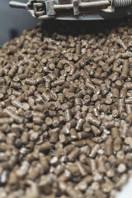 Exclusive Quality Biomass Wood Pellets For High Efficiency Heating Systems With Wholesale Price And Fast Delivery - Image 3