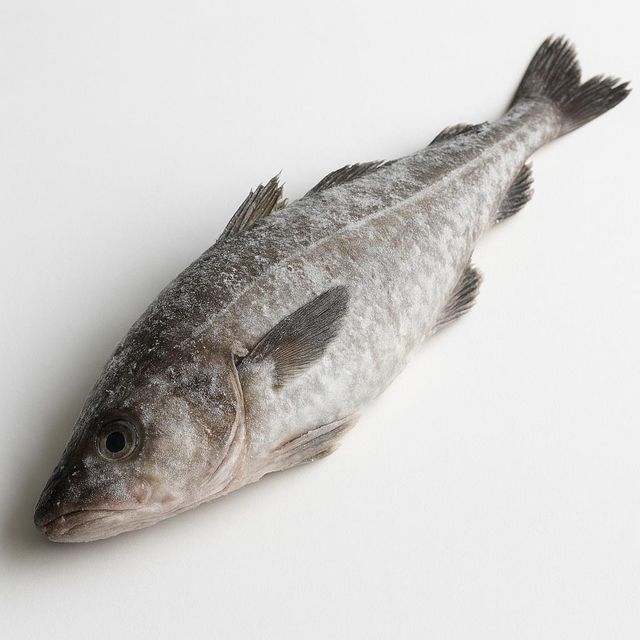 Frozen Mackerel Fish Deep Sea Harvested Seafood Offering Excellent Texture And Fresh Taste For Bulk Importers - Image 5