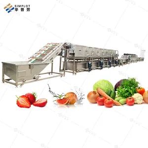 Commercial Fruit Vegetable Processing Line Bubble Washing Drying Sorting Machine for Mango Avocado Date Orange Lemon - Image 4