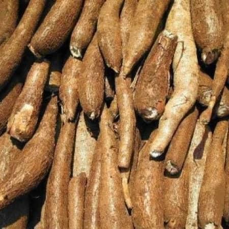 Fresh Cassava/Fresh Cassava Root - Cassava - Best Price Ph 5.0 – 7.0 Packaging BOX Whiteness 98% Maturity 100% Shelf Life 2 MONTHS - Image 4