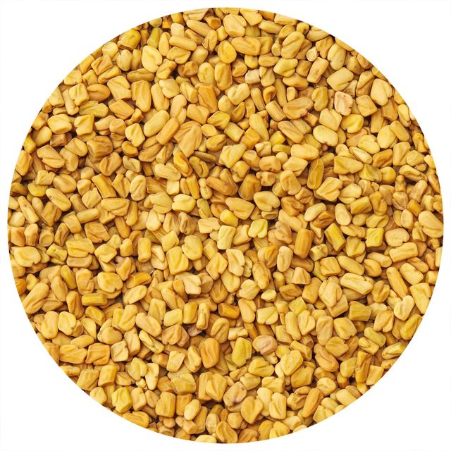 Fenugreek Seeds Professionally Cleaned And Sorted For Natural Formulations Food Ingredients And Bulk Shipments - Image 2