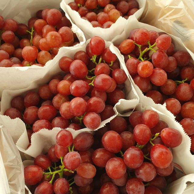 PREMIUM SEEDLESS GRAPES FOR SALE - RED SEEDLESS GRAPES, BLACK SEEDLESS GRAPES, WHITE/YELLOW SEEDLESS GRAPES – product photo 1, product detail gallery