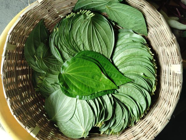 fresh betel leaves - Image 2
