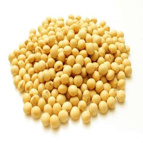 Top Grade Soybeans Clean Natural Whole Beans for Cooking and Processing Affordable Wholesale Bulk Deals - Image 1