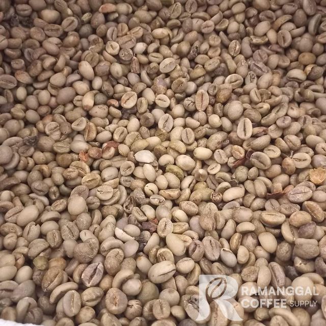 Indonesia Lampung Robusta Green Coffee Beans - Image 3