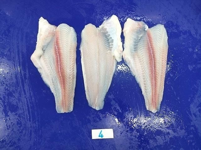 Best selling pangasius/ basa fish WR - STEAK - FILLET high- quality - Image 5