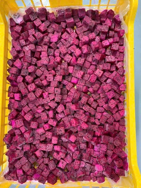 Frozen Dragon Fruit - Image 2