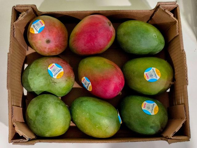 Fresh Kent Mangos Export Quality Sweet And Juicy Tropical Fruit For Retail And Wholesale Supply - Image 2
