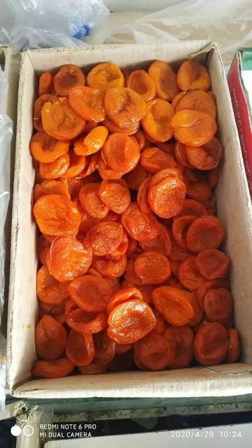 Wholesale Natural Organic Top Grade Dried Apricot kandak 186 Grade Bulk Pitted Apricots Dried Fruit From Uzbekistan - Image 5