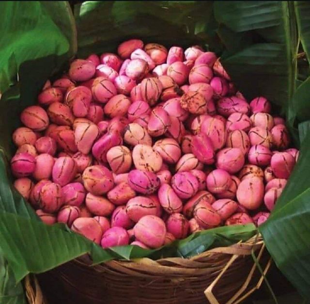 Kola Nuts Origin Cameroon Ash Content 2.5 % Hs Code 0802.90.00 Fats Content 1 – 2 % Protein Content 2 – 4 % Size 3–6 Cm In Diameter - Image 4