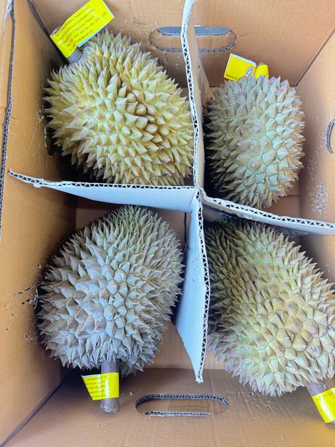 Whole Durian Mon Thong Premium Fresh Organic King of Fruits Original Taste From Thailand Rich & Creamy 3-4 PCS/BOX (Whole) - Image 6