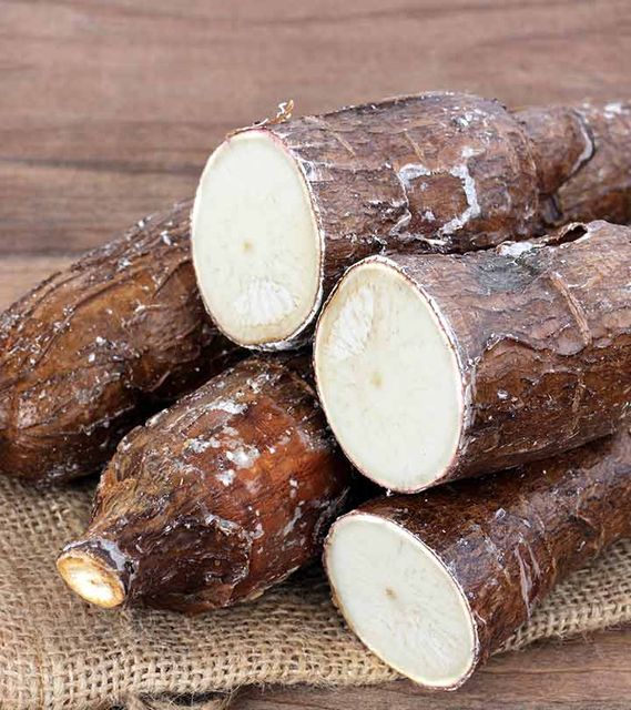 Cassava 10KG 送料込み Cassava 10KG 送料込み Cassava 10KG 送料込み