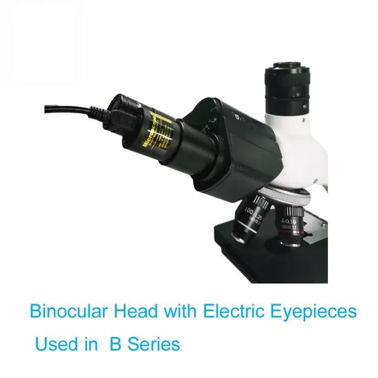 Essential Veterinary Instruments for Reliable Hospital and Laboratory Use - Image 2