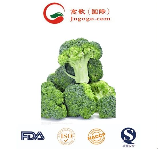 Premium Frozen Broccoli - Super Quality Green Vegetable HS Code 0710809090 Production Capacity 2000 Mts Transport Package - Image 5