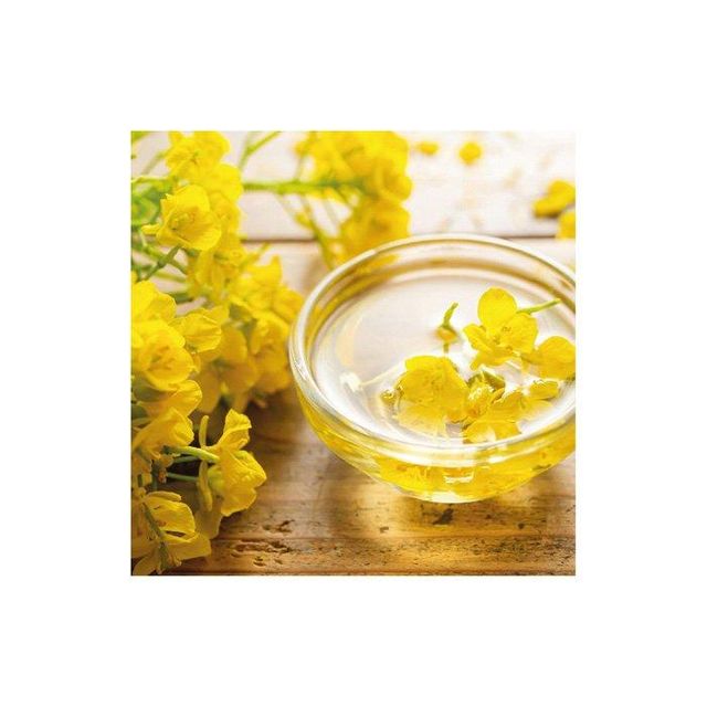 pure natural canola oil for healthy cooking frying and baking low saturated fat cholesterol free vegetable oil perfect for diet conscious families and chefs - Image 4