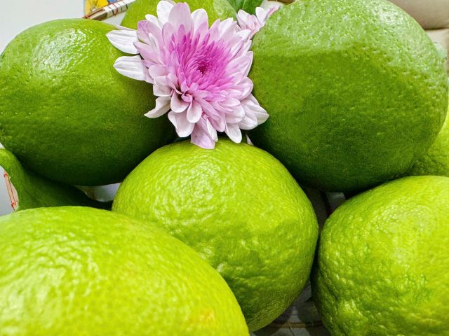 Vietnam Fresh Seedless Lime High Quality Juicy Green 6cm Size 12 Months Shelf Life Manufacturer Direct Farm Price Export - Image 2