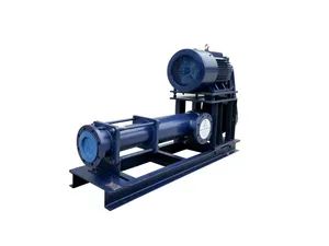 Horizontal Backpack Screw Pump in Environmental Protection, Food, Petroleum, and Chemical Engineering - Image 2