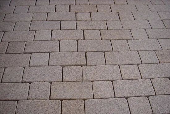 Outdoor Meshed Granite Paving Stone Simple Paving Process Shape Square Usage Garden Origin China Thickness 3cm Style - Image 3