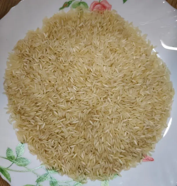 Rice - Image 4
