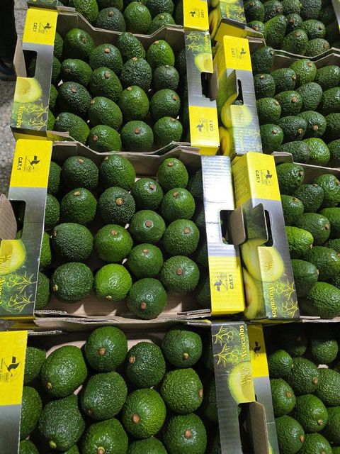 Fresh Hass Avocado Origin Kenya Grade Class I Shape Pear Shaped Cultivation Type Hass Place of Origin Kenya Organic Conventional, Yes - Image 2