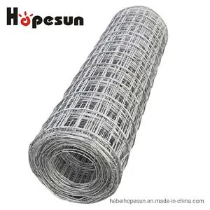 High Quality Hot Galvanized Welded Wire Mesh in Rolls - Image 1