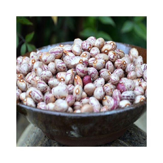 Dried sugar beans available for bulk export to food industry - Image 3