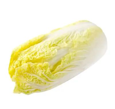 Chinese Baby Cabbage Fresh Cabbage for Export - Image 6
