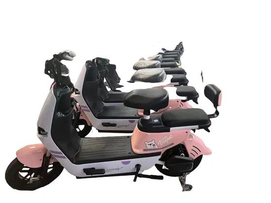 OEM/ODM 48V 350W Electric Bicycle Ebike on Electric City Bike - Image 2