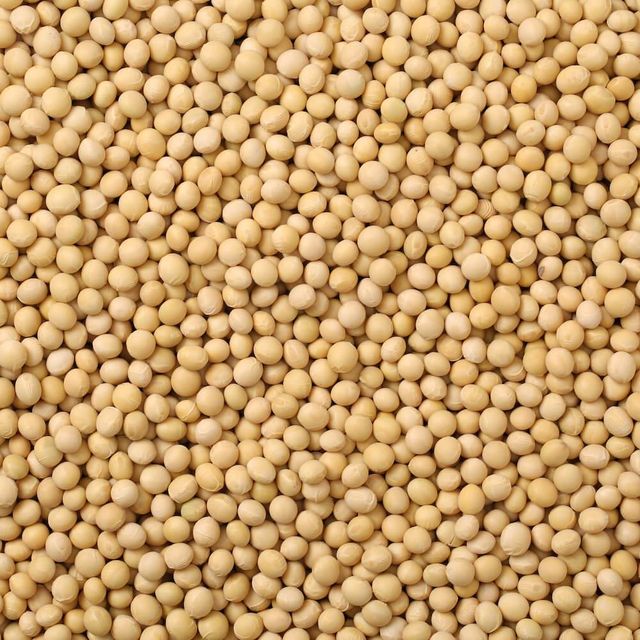 White Peas Whole Natural Beans Rich In Protein Fiber And Minerals Packed For Export - Image 3