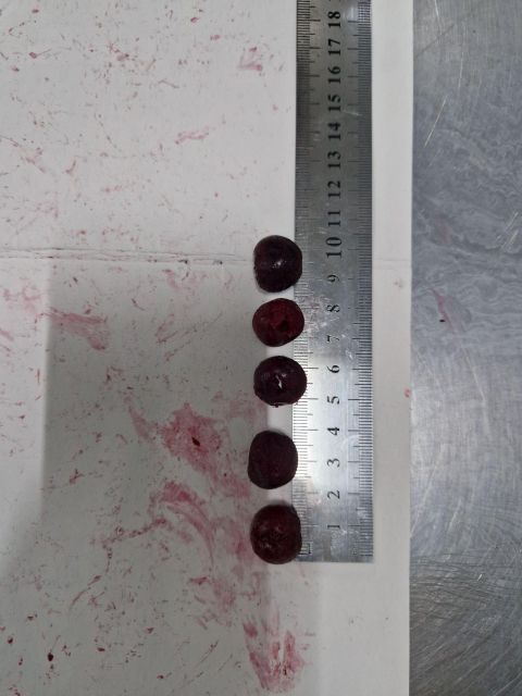 Frozen IQF Pitted Sour Cherry, Whole Individually Quick Frozen Cherries Without Pits, Bulk Wholesale, Uzbekistan – product photo 5, product detail gallery