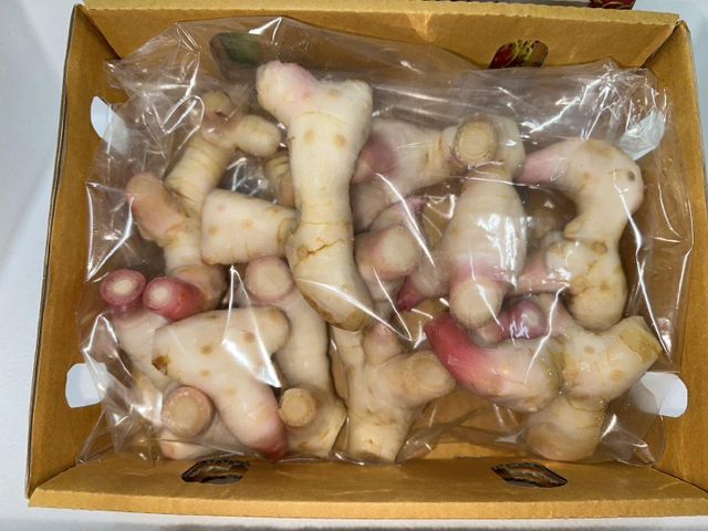 Galangal Type Galangal Form Fresh Root Packaging Card Tray Flavor Profile Earthy, Piney Certifications Gap, Haccp, Sedex, Gmp - Image 2