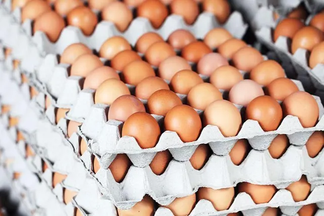 Fresh & Preserved Brown and White Chicken Eggs Grade A Size 5 G Part White Type BROWN Style Fresh Length 3 Cm Content None - Image 4