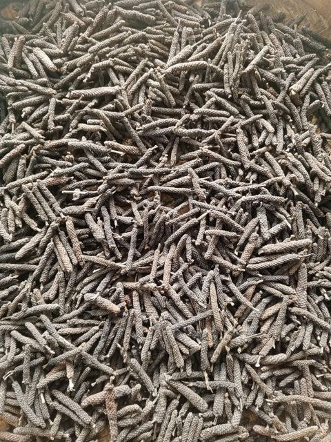 javanese long pepper - Image 1