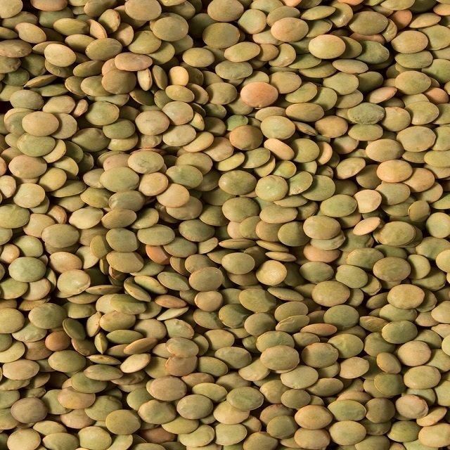 Natural Green Lentils with Excellent Cooking Performance for Everyday Family Meals and Professional Kitchens - Image 2