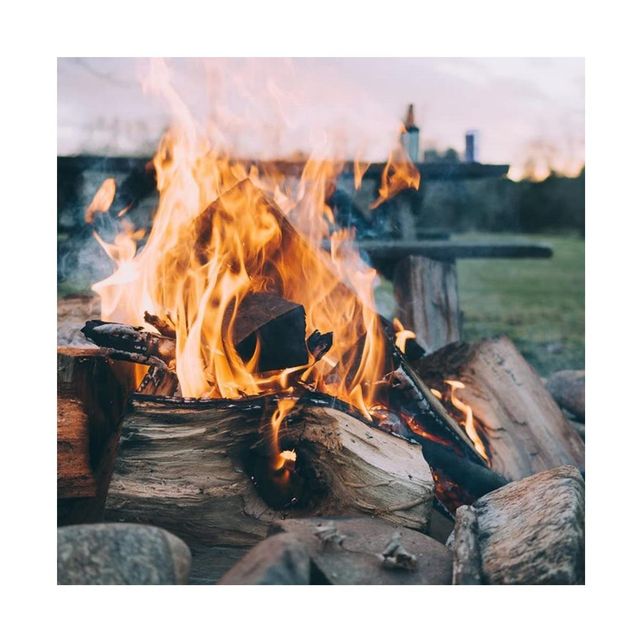 Best Quality Hot Sale Price Kiln Dried Firewood | Oak and Beech Firewood Logs - Image 4