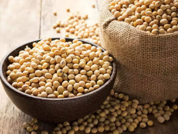 Organic Soybean - Image 4
