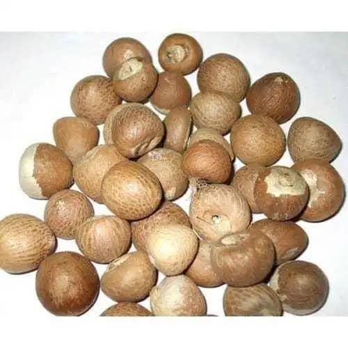 Selected Grade of Betel Nut Supply Brand Quality Product From Thailand Manufacture Export Large Market - Image 3