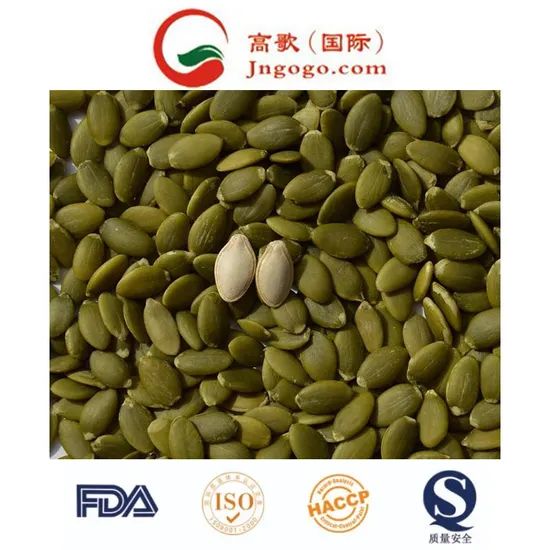 White Pumpkin Seed Kernels - Superior Quality and Packing Options - Image 4