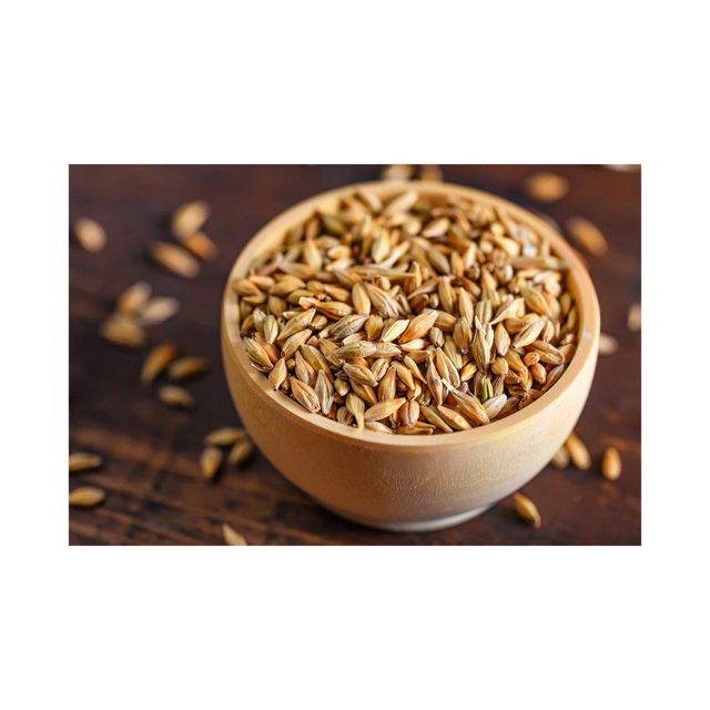 High Quality Malted Barley Available For Bulk Purchase And Retail Sale - Image 4