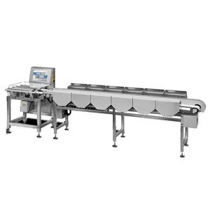 Automatic Weight Grader and Sorting Machine for Poultry and Seafood Processing - Image 3